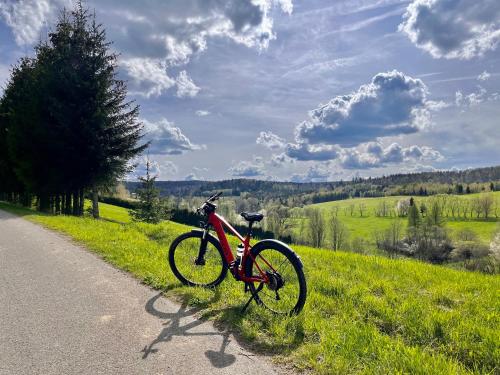 a red bike parked on the side of a road at Bieszczadzki Hoży Ryś Apartamenty in Berezka