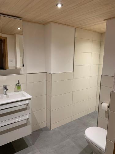La salle de bains est pourvue d'un lavabo et de toilettes. dans l'établissement Panoramahof Monika Kennerknecht, à Akams