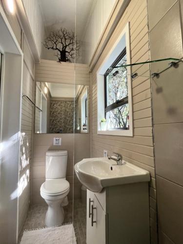 a bathroom with a toilet and a sink at Moonriver Cottage, Prime Lagoon Views & Solar Power in Knysna