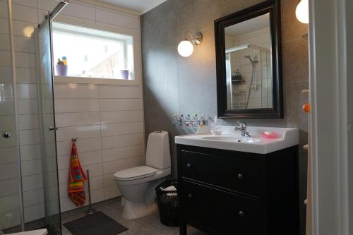 a bathroom with a sink and a toilet and a mirror at Luxury Norwegian Cottage in Hurdal