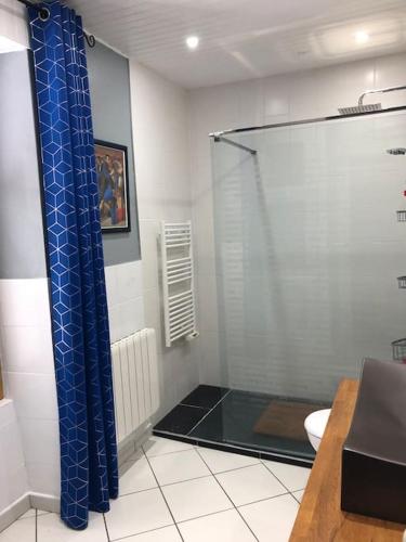 une salle de bain avec une douche avec un rideau de douche bleu dans l'établissement Maison Cantal à Marchastel 15400, à Marchastel