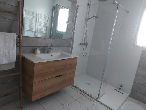 a bathroom with a shower and a sink and a shower at Maison au calme proche Cité in Carcassonne