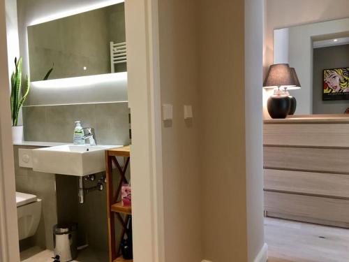 a bathroom with a sink and a mirror at Berlin Style Apartments in Berlin