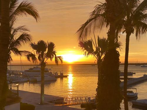 a sunset with boats in a marina with palm trees at The OceanFront Private Residence in La Paz