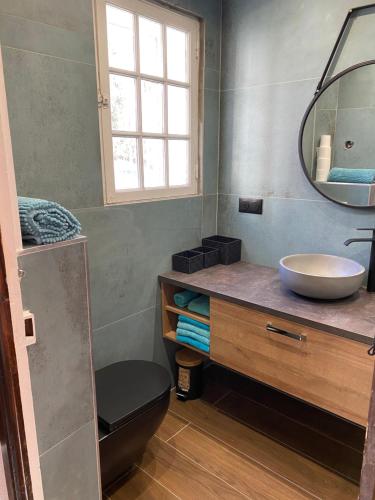 a bathroom with a sink and a mirror at Auron Chalet Casanova centre et pistes à pied in Auron