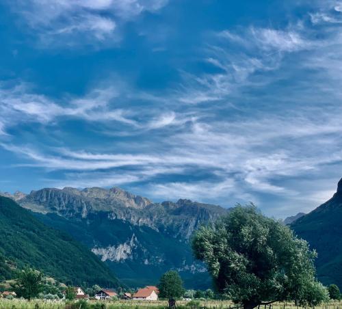 a tree in a field with mountains in the background at Lejla's guesthouse in Gusinje