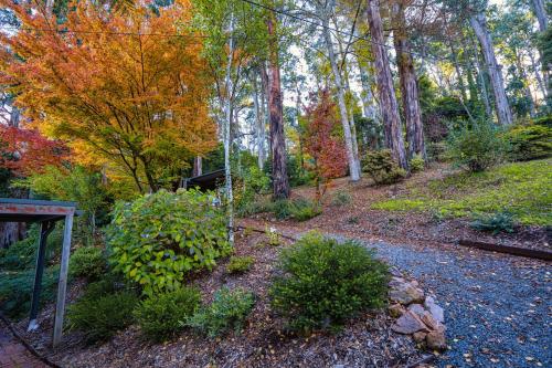 Gallery image of Dandenong Ranges Modernist Bush Escape in Kalorama