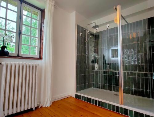 uma casa de banho com uma cabina de duche ao nível do chão ao lado de uma janela em Domaine de l'Ormerie Provins em Provins