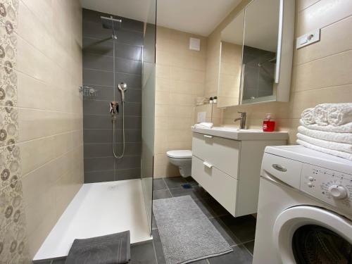 a bathroom with a shower and a toilet and a sink at Karavanke Holiday Getaway in Hrušica