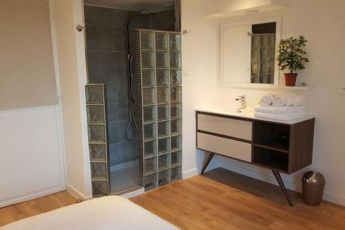une salle de bain avec lavabo et douche dans l'établissement Duplex Cannes plein Centre, Zone Piétonne, 2 Chambres, à Cannes