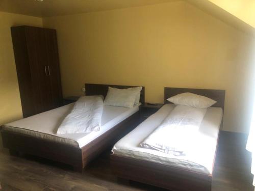 two beds sitting next to each other in a room at Pensiunea Dany in Clopotiva