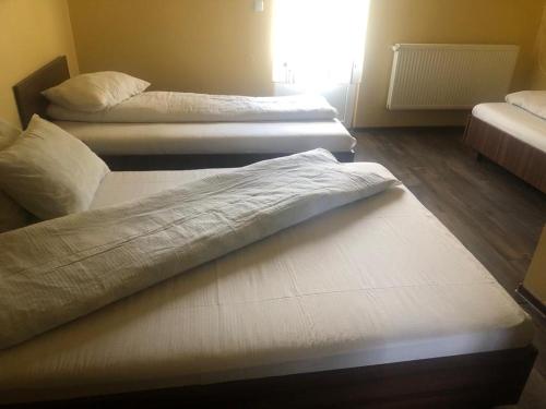 two twin beds in a room with a window at Pensiunea Dany in Clopotiva