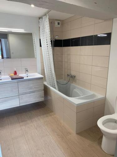 une salle de bain avec une baignoire, un lavabo et des toilettes dans l'établissement Location saisonnière à Montours, à Montours