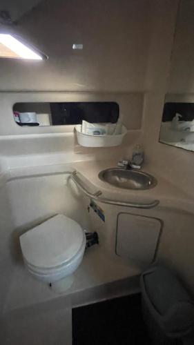 a bathroom with a toilet and a sink in an airplane at Le Cyvirg in Viviers-du-Lac