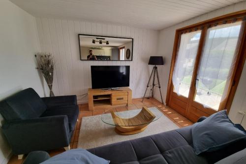 a living room with a couch and a television at Le Petit Bois in Les Rousses