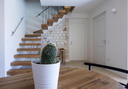 a cactus sitting on a table in a living room at La Casa del Sasso in Sirolo