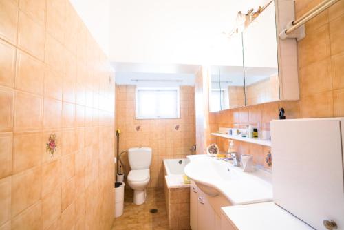 a bathroom with a toilet and a sink and a mirror at Greek Village house Peloponnese Sea&Mountain in Aigio