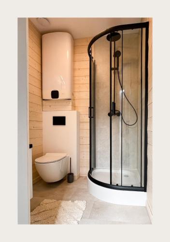 a bathroom with a shower and a toilet at Domy na wodzie Sztynort in Sztynort