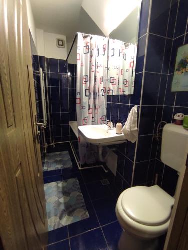 Baño de azulejos azules con aseo y lavamanos en Eden Apartman en Miercurea-Ciuc