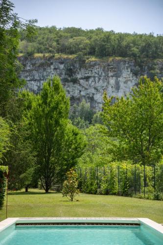a swimming pool in a field with trees and a mountain at Le Moulin de la Maison des Templiers in Saint-Cernin-de-Larche