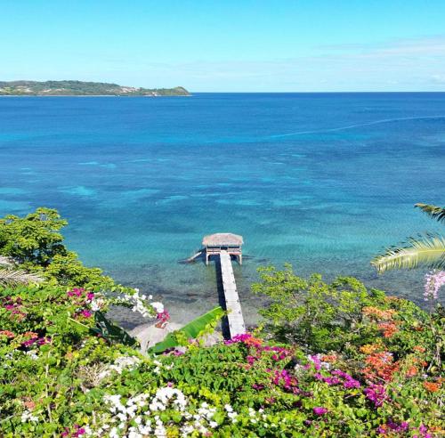a dock in the middle of the ocean with flowers at Superbe villa avec ponton privé in Andilana