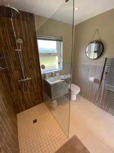 a bathroom with a shower and a sink and a toilet at NEW - The Gate Lodge at Dunnanew - 4 star- Sleeps 5 in Seaforde
