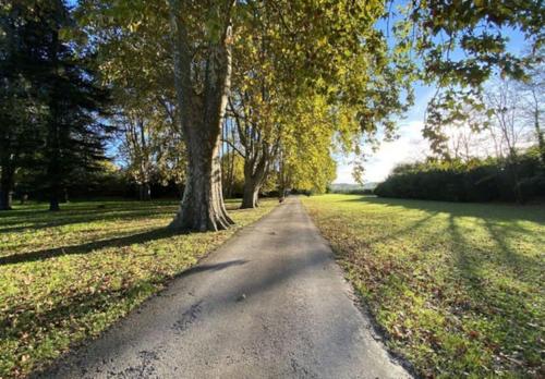 un arbre du côté d’une route dans l'établissement Davaï appartement 6 personnes, à Pont-Saint-Esprit