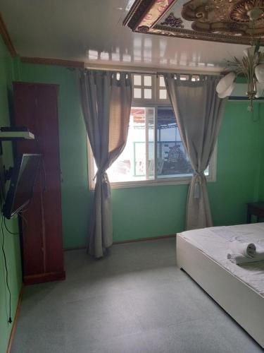 a bedroom with green walls and a bed with curtains at Germaroze in Oslob