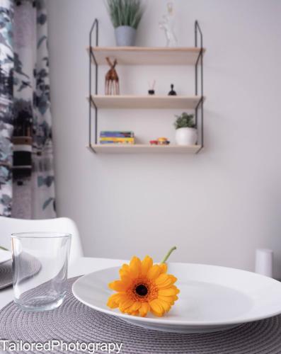 a plate with a yellow flower on a table at Uusi asunto ydinkeskustassa, Wifi, ilmainen pysäköinti in Lappeenranta