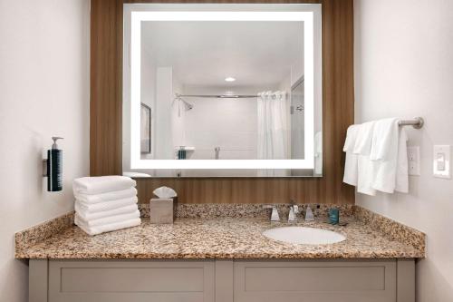 uma casa de banho com um lavatório e um espelho grande em DoubleTree Suites by Hilton Raleigh-Durham em Durham