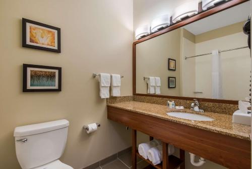 a bathroom with a toilet and a sink and a mirror at Comfort Inn & Suites Barnesville - Frackville in Barnesville