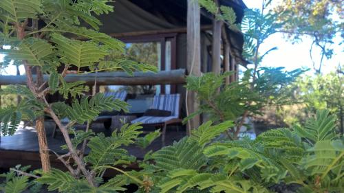 Zahrada ubytování Bushwa Private Game Lodge