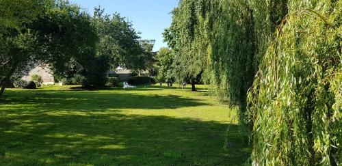 a park with trees and grass and a field at La Pagaille, gite appartement in Le Montet
