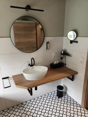 a bathroom with a sink and a mirror at Schloss Ernegg in Steinakirchen am Forst