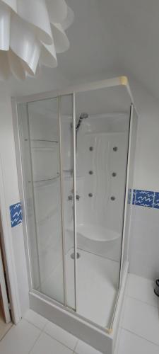 a shower with a glass door in a bathroom at La Pagaille, gite appartement in Le Montet