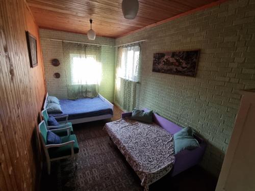 a room with a couch and a bed in it at Lux villa on the river Dnipro in Kirovskoye