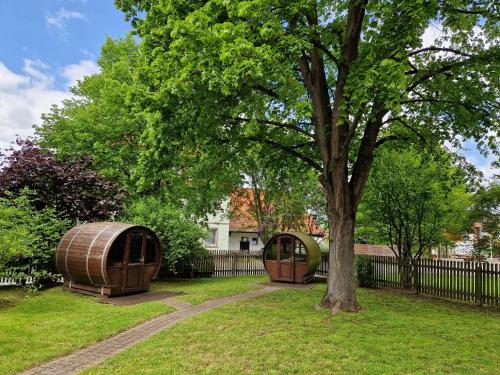 Ein Baum und ein Iglu in einem Garten neben einem Zaun in der Unterkunft Kötterhof in Bevern
