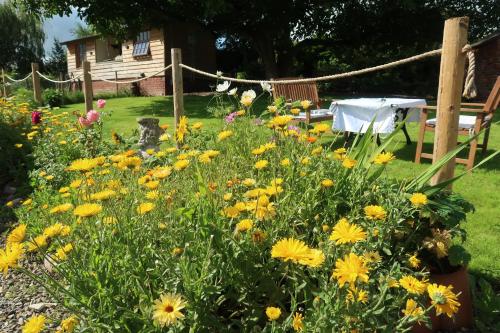 a garden with yellow flowers in front of a house at The Old Pantry at Hill Farm in Penley
