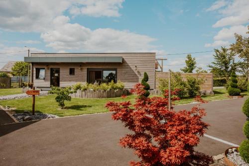 une petite maison avec un arbre rouge devant elle dans l'établissement Ô Sparadis Maroilles, à Maroilles