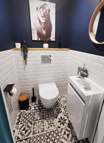 une salle de bain avec des toilettes blanches et un lavabo dans l'établissement Les remparts de Caroline, au pied de La Cité., à Carcassonne