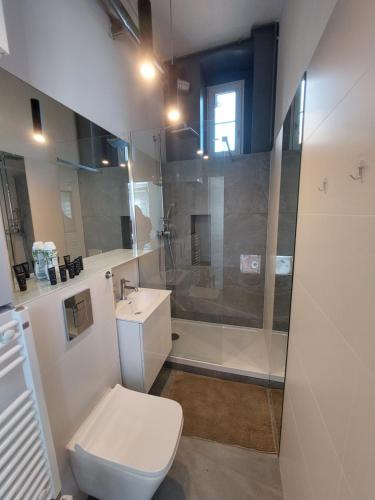 a bathroom with a shower and a toilet and a sink at Apartament Aleja Przyjaźni in Gliwice