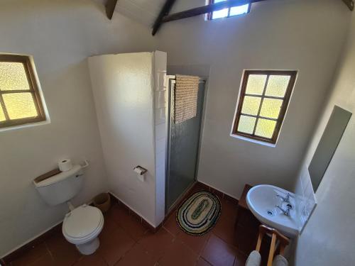 a bathroom with a toilet and a shower and a sink at Tower of Pizza in Ethels Drive