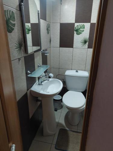 Vonios kambarys apgyvendinimo įstaigoje Pensiunea Irina