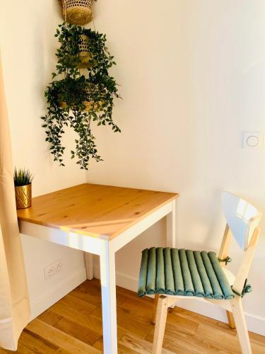 un bureau avec une chaise et une plante dans l'établissement Top floor studio near Montmartre, à Paris