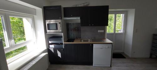 a kitchen with black cabinets and a sink at La Pagaille, gite appartement in Le Montet