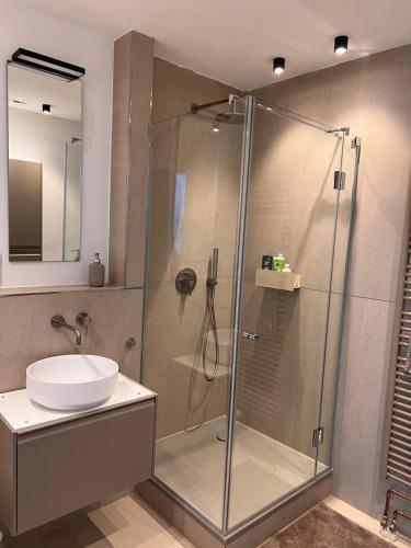 a bathroom with a shower and a sink at Ruhiges Designer Apartment in Zentrum & Rheinnähe in Bonn