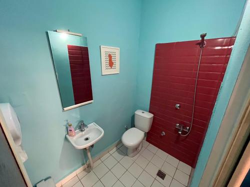 Milingona City Center Hostel في تيرانا: حمام به مرحاض أبيض ومغسلة