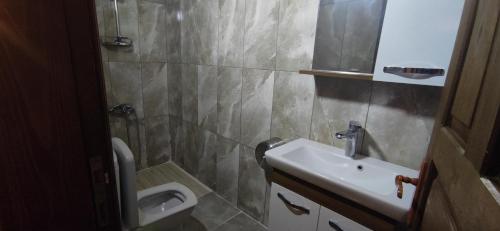 bagno con lavandino e servizi igienici di Yedekcioğlu Konak a Karabük