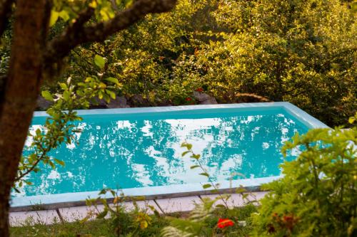 een blauw zwembad in een tuin met bomen bij Horizontes Serranos in Tondela