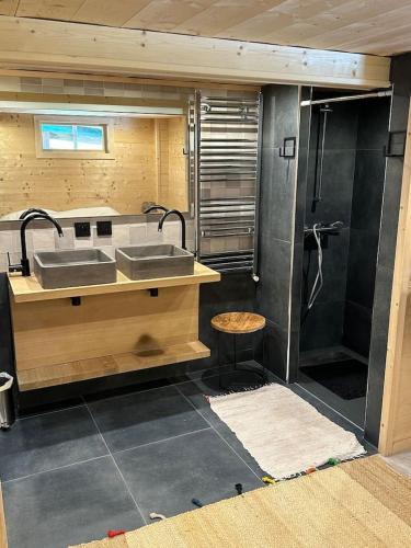 une salle de bain avec un lavabo et une douche dans l'établissement Chalet Flobelle, à Entremont